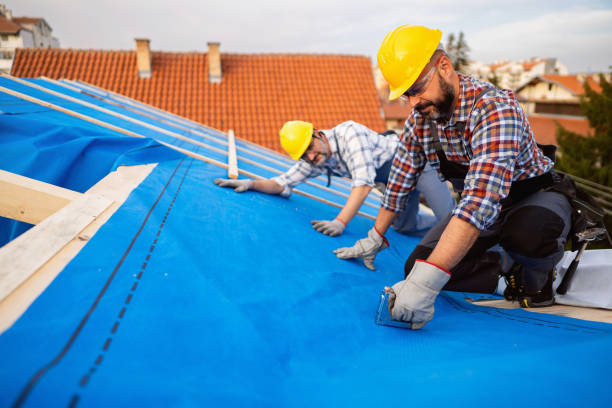 Sealant for Roof in Eureka, MT