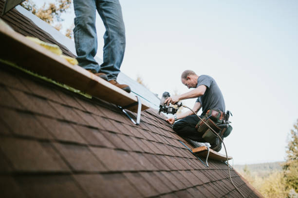 Best Roof Leak Repair  in Eureka, MT