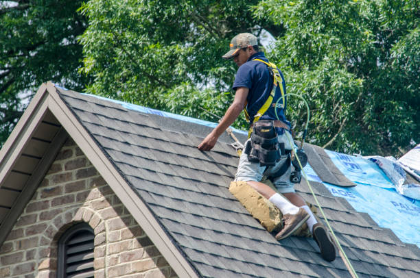 Best Roof Gutter Cleaning  in Eureka, MT